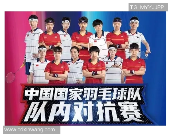 南京羽毛球队在奥运会中的战术表现分析与点评