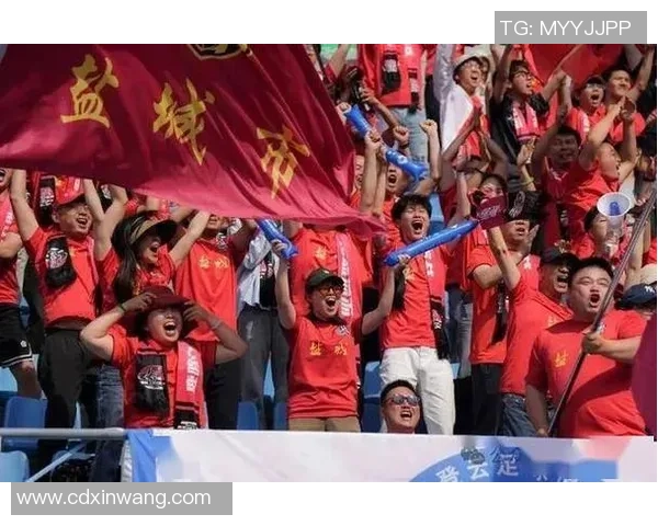 南美洲足球文化深厚足球明星遍布街头巷尾展现激情与梦想