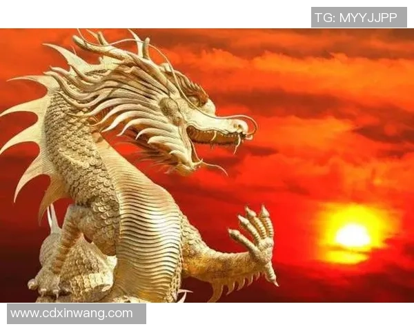 属龙的足球明星盘点他们的辉煌成就与场上风采