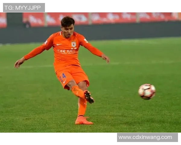 河南女足球明星的代表人物及其成就分析