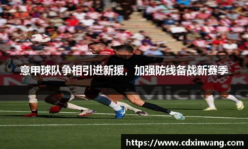 NG体育官网