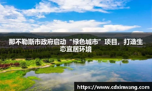 NG体育官网