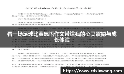 看一场足球比赛感悟作文带给我的心灵震撼与成长体验