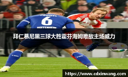 NG体育