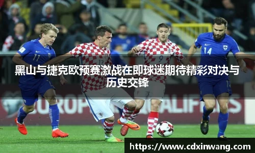 NG体育官方网站