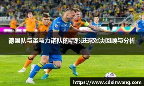 NG体育官网