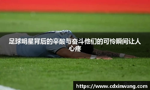 NG体育官方网站
