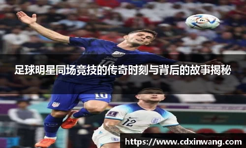 NG体育官方网站